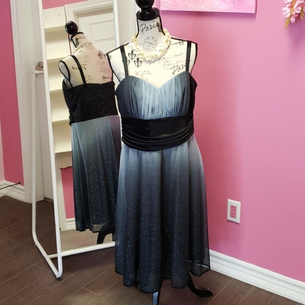 R&M 💕💕 Richard's Glitter Lined Dress Size 14W